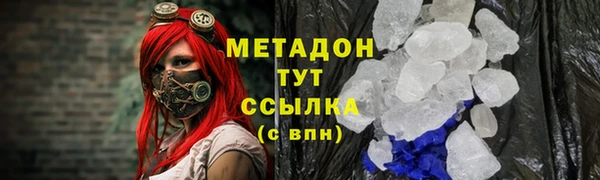прущие грибы Снежинск