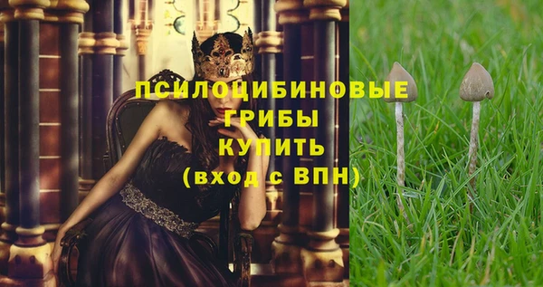 кокс Болотное