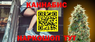 Альфа ПВП Бийск