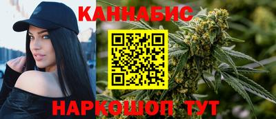 Альфа ПВП Бийск