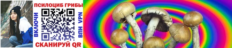 закладки  Благовещенск  Галлюциногенные грибы Magic Shrooms 