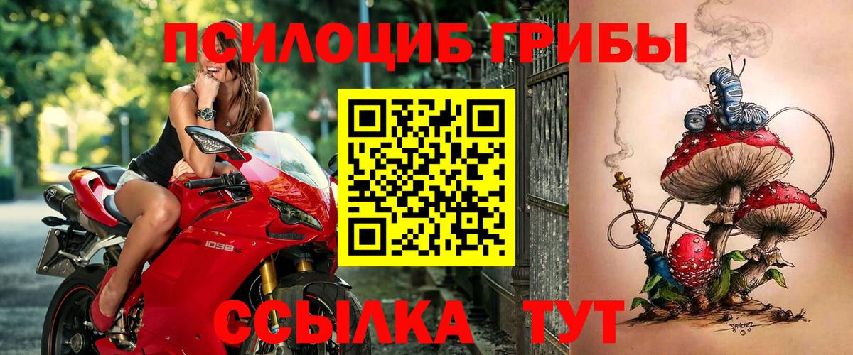 где найти   Псилоцибиновые грибы Cubensis  Вход с VPN  Псилоцибиновые грибы GOLDEN TEACHER  Благовещенск 